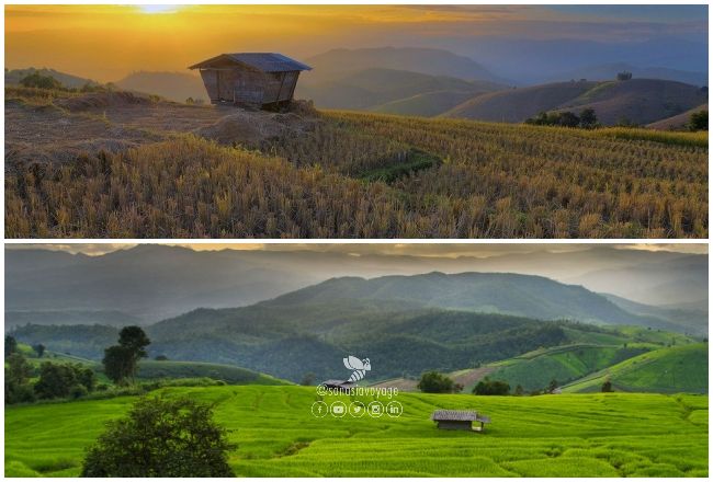 La beauté de Chiang Mai